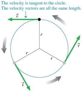 Velocity vectors tangent to a circle in uniform circular motion
