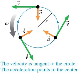 Centripetal acceleration points toward the center