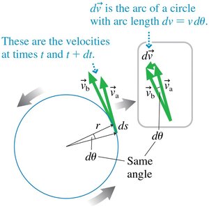 Velocity and acceleration vectors in circular motion