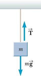 Tension in a vertical rope