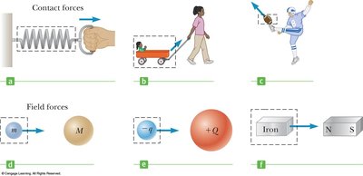 Examples of contact and field forces