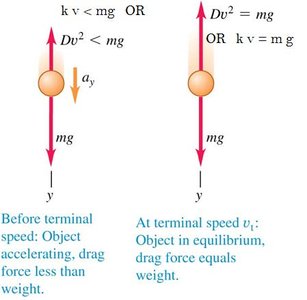 Forces on a falling object before and at terminal speed
