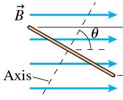 Loop orientation and magnetic flux