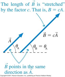 Multiplying a vector by a scalar