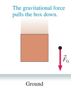 Spring force diagrams