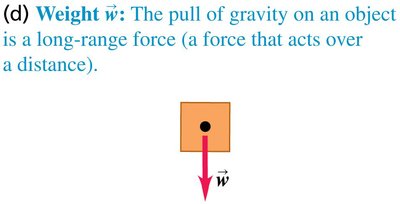 Weight as a downward force due to gravity