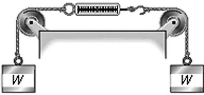 Two weights W hanging from pulleys with a spring scale in between