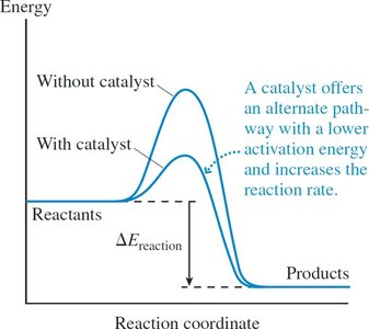 Catalyst effect on activation energy
