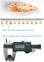 Measurement tools showing different precision
