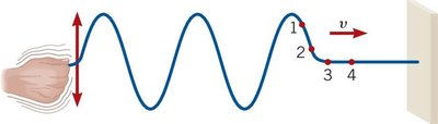 Transverse wave on a string