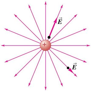 Electric field lines of a point charge