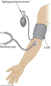 Sphygmomanometer for measuring blood pressure