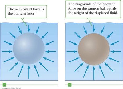 Buoyant force on a submerged object