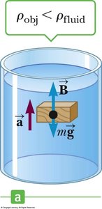 Object less dense than fluid experiences upward force