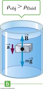 Object more dense than fluid experiences downward force