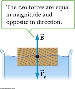 Floating object in static equilibrium
