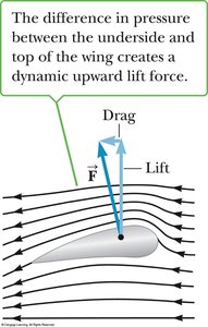 Airplane wing lift due to pressure difference