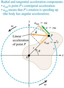 Radial and tangential acceleration components