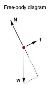 Free-body diagram of skier