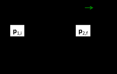 1-D collision with momentum vectors
