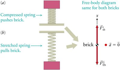 Spring compressed and stretched by a brick