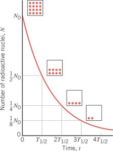 Exponential decay curve showing number of radioactive nuclei versus time with half-lives marked