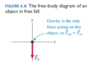 Free-body diagram of object in free fall