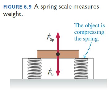 Spring scale measures weight