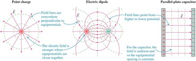 Equipotential and field lines for point charge, dipole, and parallel-plate capacitor