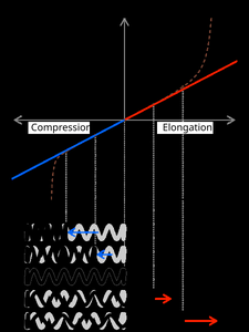Hooke's experiment