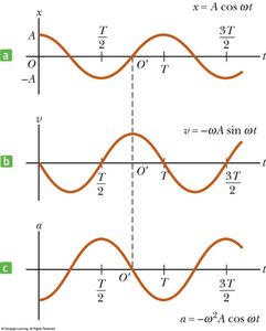 Graphs of position, velocity, and acceleration in SHM