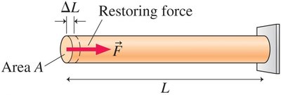 Young's modulus formula