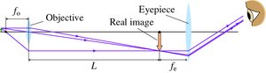Microscope ray diagram and magnification