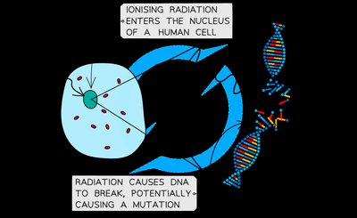 Ionising radiation causing DNA damage and mutation