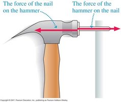 Hammer and nail showing action and reaction forces