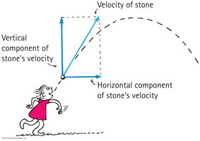 Vertical and horizontal components of stone's velocity