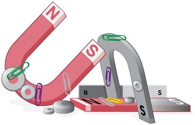 Bar and horseshoe magnets attracting paperclips