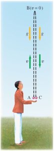 Diagram showing upward and downward velocities and acceleration for a thrown object (duplicate)