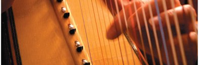Harp strings close-up
