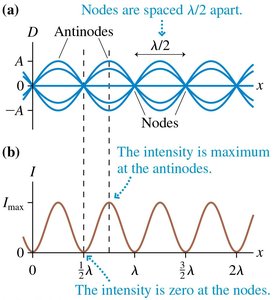 Nodes and antinodes in a standing wave