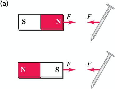 Magnet attracting unmagnetized iron objects