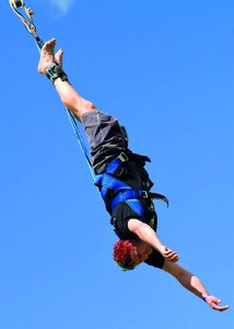 Bungee jumper illustrating forces and elastic behavior