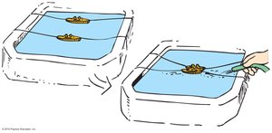 Ships drawn together by pressure difference