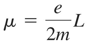 Equation for magnetic moment