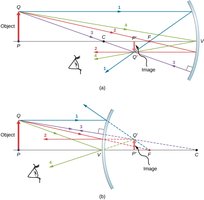 Concave and convex spherical mirror ray reflection