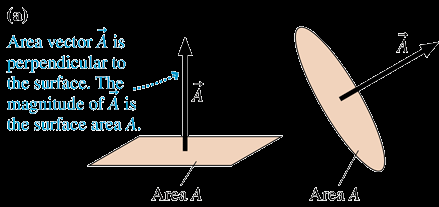 Area vector perpendicular to surface
