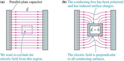 Faraday cage and field exclusion