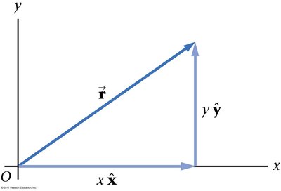 Position vector in x and y components