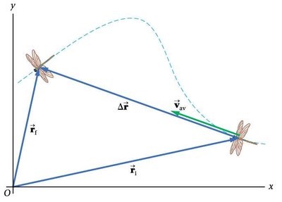 Dragonfly displacement and average velocity
