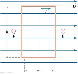 Forces on a current loop